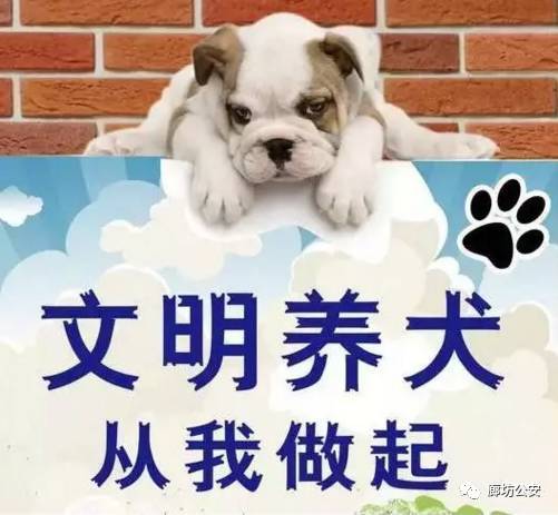 7月1日起执行 张家口发布最严养犬通告 附禁养犬只名录,举报电话