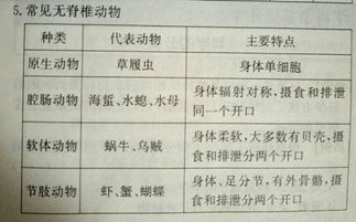 求大神将这几张照片拍摄的制作成表格图片 