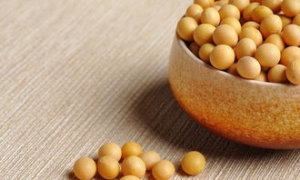 黄豆的功效与作用，黄豆的功效和营养价值