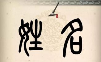 风水起名字(风水名字大全)