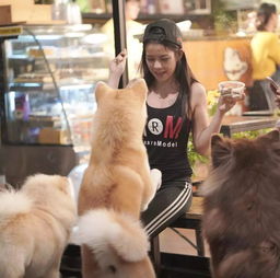 这家狗狗咖啡馆除了卖饮品甜食,还贩卖超大份的治愈