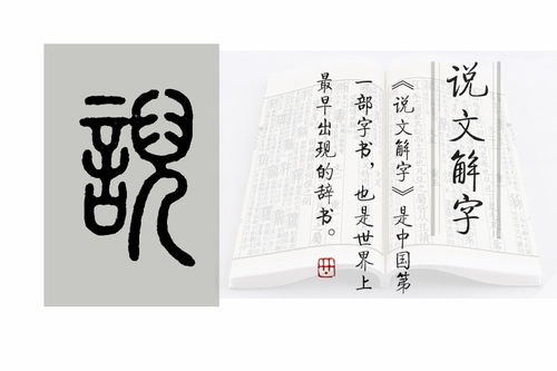 说文解字 第448课 楚人两妻 典故中, 誂 字是啥意思