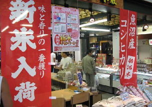 日本天价大米或系辽宁出口 内地零售价每斤6元 