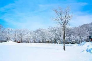 北海道迷人雪景 信息阅读欣赏 信息村 K0w0m Com