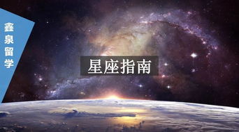 如果12星座去新西兰留学,会选择什么专业