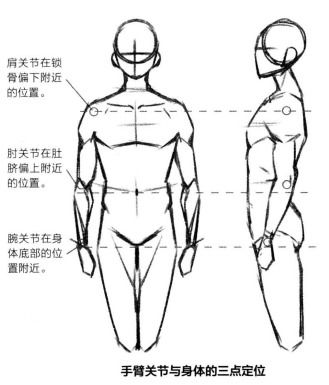 人的头和身体的比例