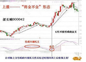 在股市中怎么赚到钱