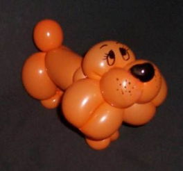 气球小狗怎么做图片 