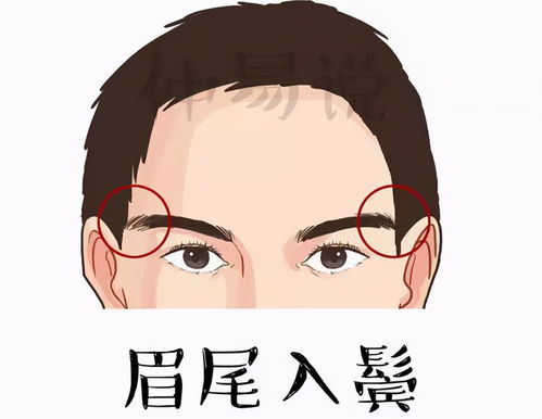 换个眉毛 换张脸 从眉毛看运势,准到没朋友