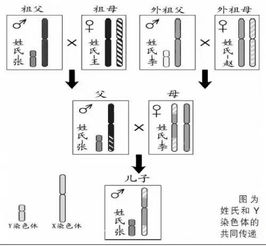 浅说高承勇变态杀人的一些来龙去脉