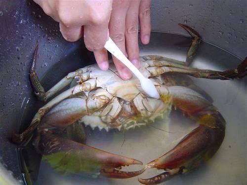 螃蟹怎样蒸不掉腿 冷水还是热水下锅 老渔民给你解答