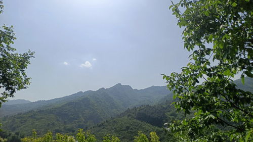 葛仙山,五一去摘樱桃 摘枇杷 