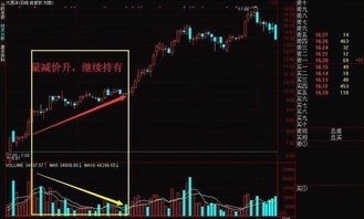 怎样看出盘中的买量和卖量？他们是如何体现的？