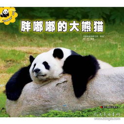动物星座 丛书 胖嘟嘟的大熊猫