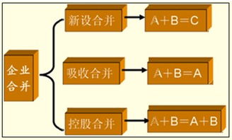 注册资本和股权怎么算