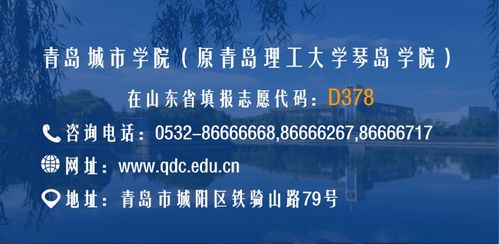宁波教育学院最新2021（历届）普通高等职业教育招生简章,招生专业