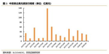 定增价调高了的调整重组,后期会怎么走