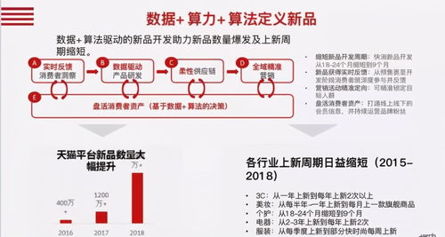 十个关键词解读数字化转型