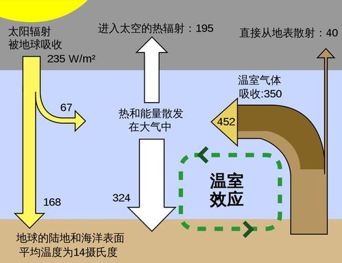 在清新空气中，像氧气，二氧化碳等气体所占的比例大概为多少？