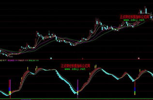 通达信的选股公式和指标具体放在哪个目录里面？