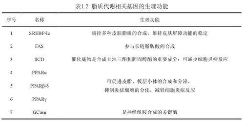 论文查重率低至无敌来看看这些秘籍