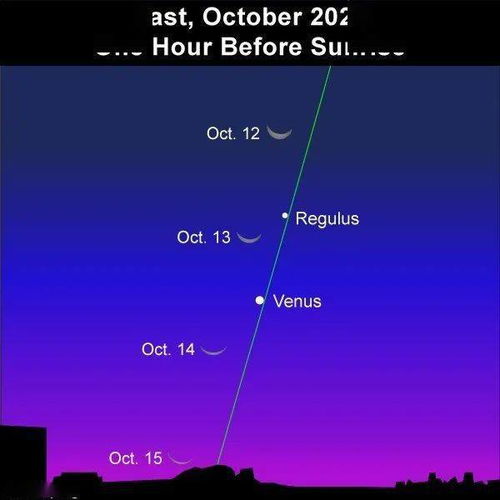 最终定位星查重教程：免费且高效的方法