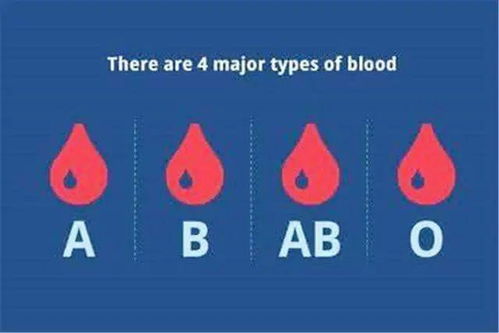 不同血型有什么不同(血型的不同)