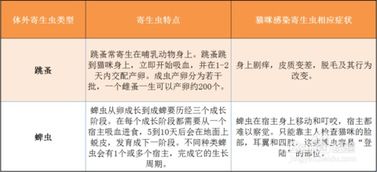 怎么判断猫要驱虫 预防重于补救