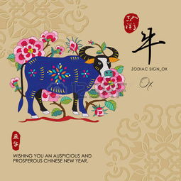 Zodiac Signs 正版图像 123RF中国 高质量免版税图像库 