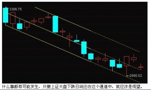 明天能否反弹，加息预期是否影响股市？农行股跌破发行价会一路走低吗？新能源能否加仓？