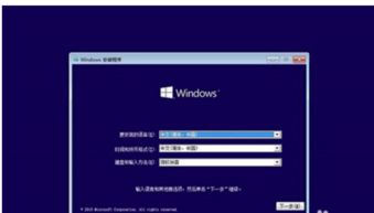 win10系统安装到u盘安装