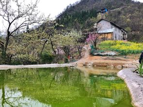 张家界荷花机场附近便宜的停车场求介绍(张家界市区小众免费停车场)