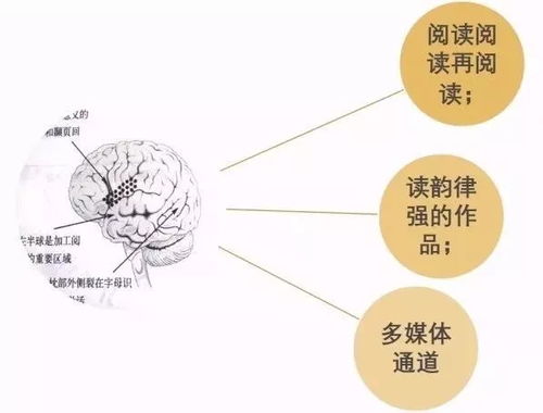 重磅直播 权威专家讲解如何突破语文学习局限,激发语文学习潜能