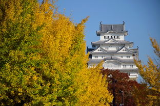 日本福冈旅游景点