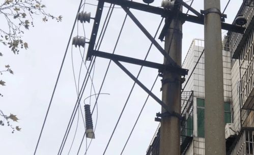 废弃电杆煞风景 空房变危隐患多 整改