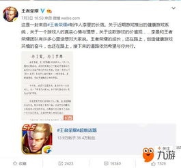 王者荣耀游戏小新,小新打游戏如何