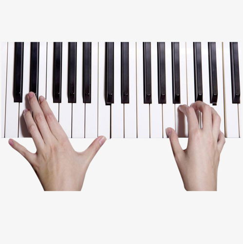 弹钢琴的双手手势教学示意图素材图片免费下载 高清png 千库网 图片编号9131832 