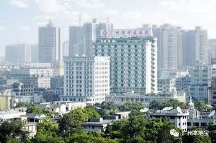 什么病去什么医院 广州20个最强专科医院 肿瘤 肝病 很多人还不知