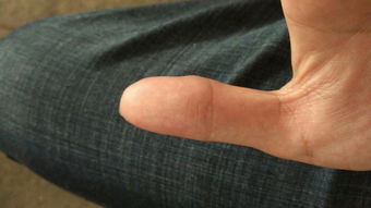 这手指是螺纹还是流纹 