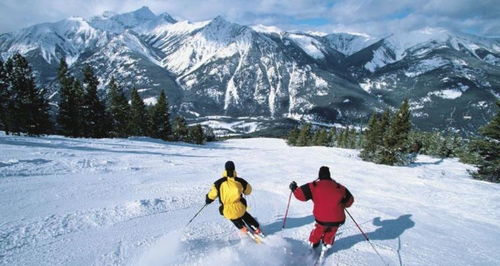 高山滑雪运动员晋级考核标准共分几级