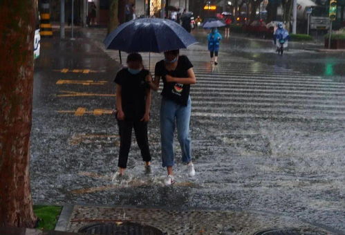 瓢泼大雨 山东今明天雨水 霸屏 山东高速交警提醒您注意行车安全