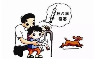 关于猫咪咖啡馆 不能不说的那些话