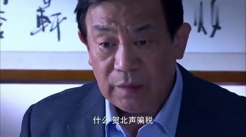 特别使命 男子居然举报男子骗税,男子应该怎样让他相信 