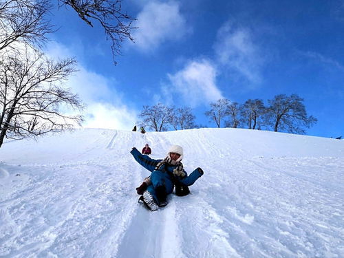 亚布力 雪乡汽车2日游 12人或头等舱,0购0自,宿双人炕标,乘雪地摩托赏高山雾凇,冰雪画廊,梦幻家园,滑雪3H,送雪地温泉 哈尔滨 出发 途牛 