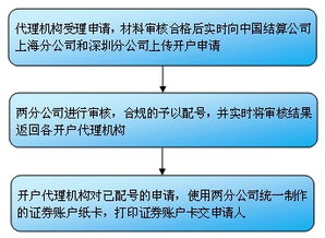 开立证券账户的基本原则是什么