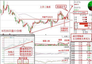 高度操盘是什么意思?