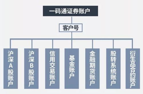 2022年可以开几个证券帐户