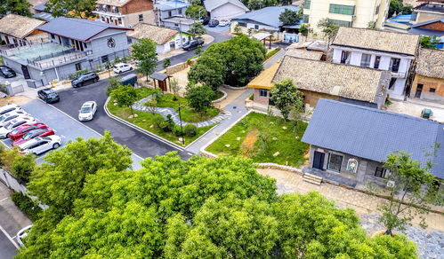 江西新余渝水城北街道