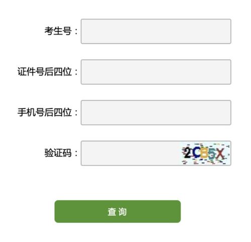 山东美术联考成绩查询 山东省美术联考成绩在哪查