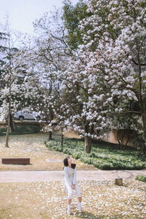 赏花去 花树下少女拍照 pose 全攻略